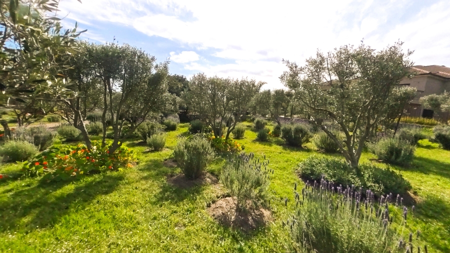 7 Bedroom Property for Sale in Tre Donne Estate Western Cape